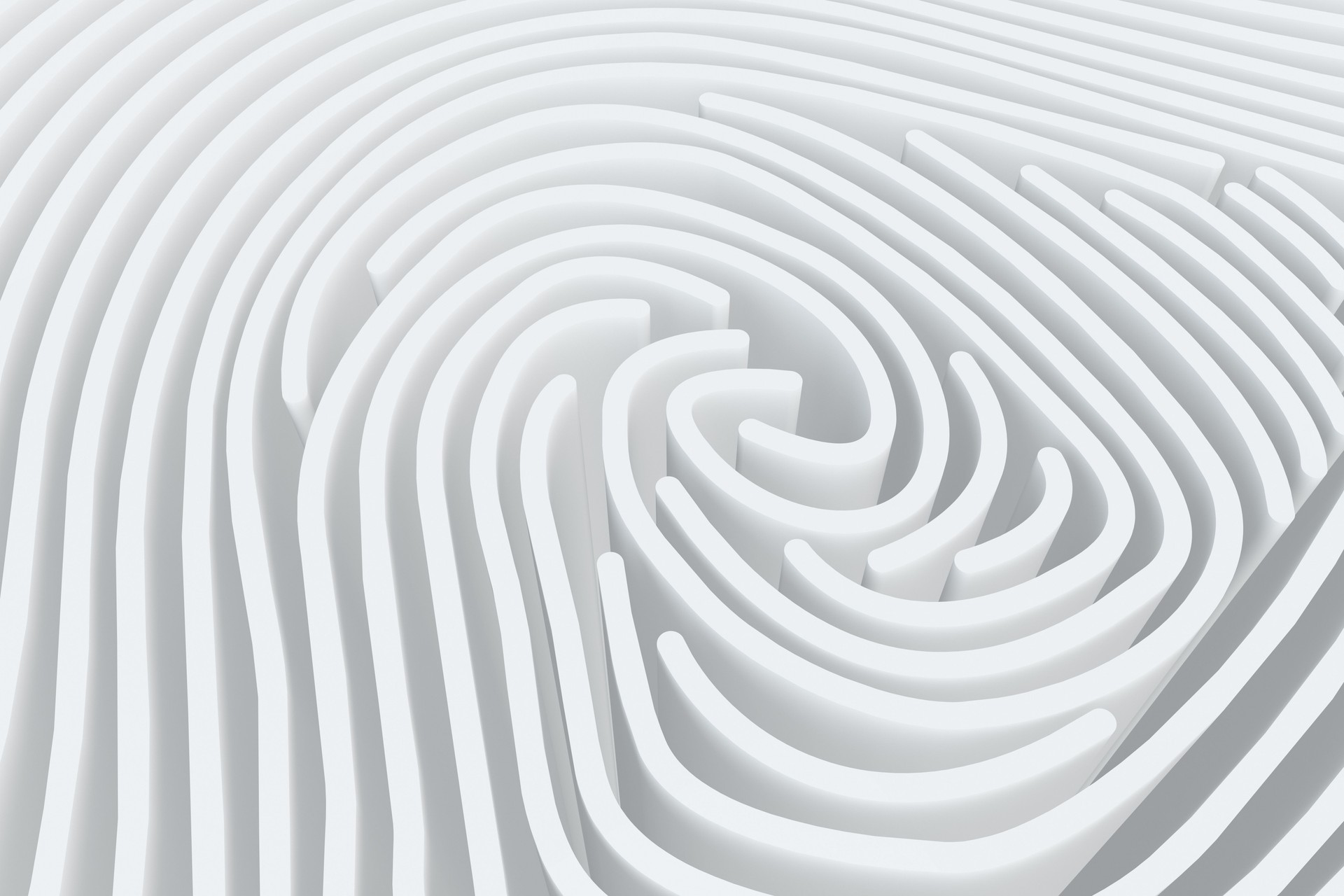 3D Fingerprint Maze
